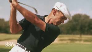 imageshogan-top-of-swing